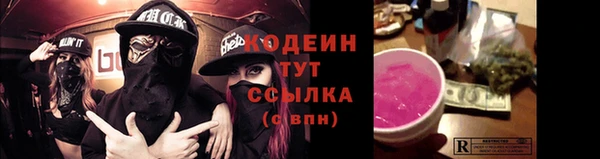 ГАЛЛЮЦИНОГЕННЫЕ ГРИБЫ Алексин