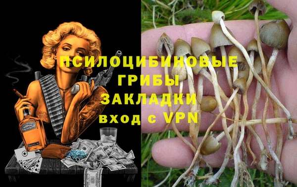 дурь Алзамай